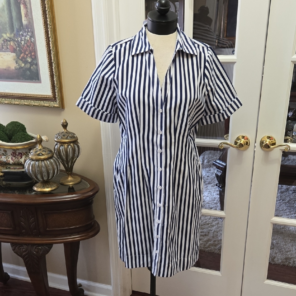 Emily Daniels Striped Navy Blue White Shirt Dress Short Sleeve Pockets Large NEW
